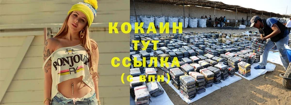 тгк Нея