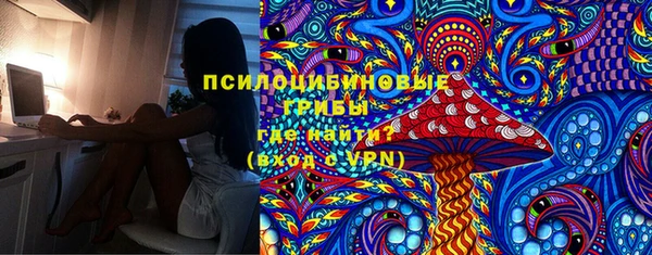тгк Нея