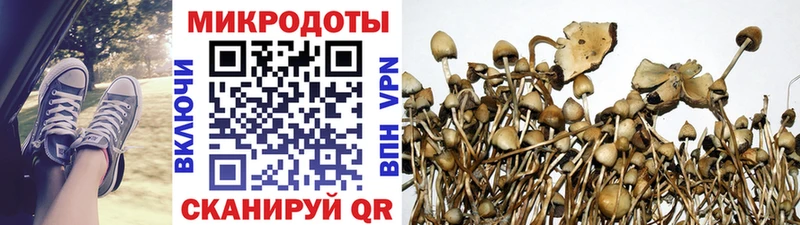 дарнет шоп  Куртамыш  ОМГ ОМГ зеркало  Псилоцибиновые грибы MAGIC MUSHROOMS 